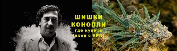 PSILOCYBIN Абаза