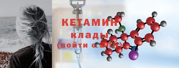 стафф Новодвинск