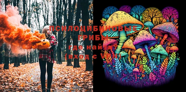 PSILOCYBIN Абаза