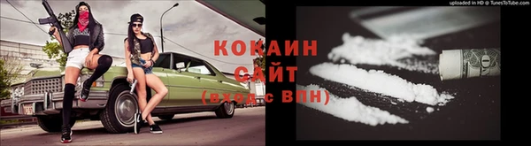дживик Абинск